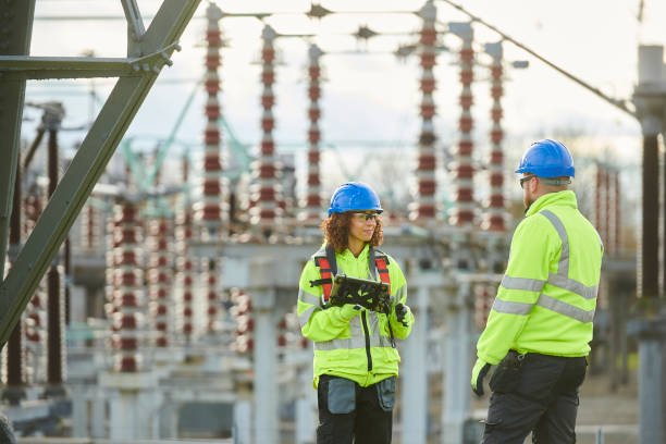 Best Local Electrician Companies  in Bellerose Terrace, NY